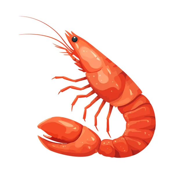 Shrimp Bild Isoliert Shrimp Symbol Niedliche Rote Garnele Flachem Design — Stockvektor