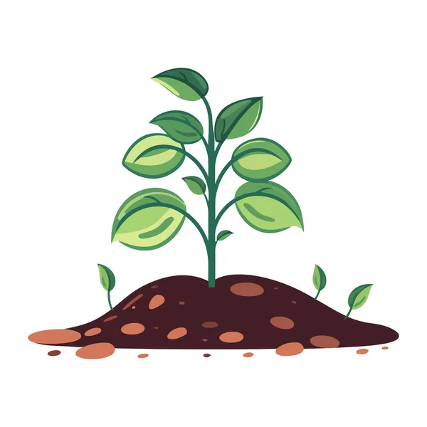 Young Plant Growing Out Ground Plant Growing Soil Vector Illustration — Stock Vector