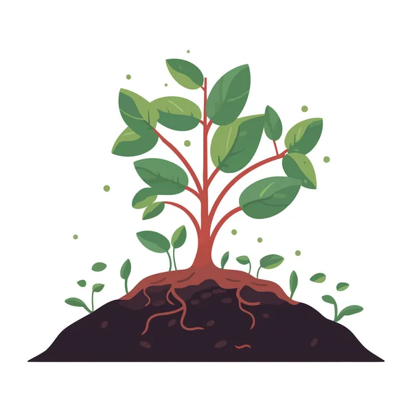 Planta Joven Creciendo Fuera Tierra Planta Que Crece Del Suelo — Vector de stock