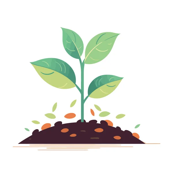 Jungpflanze Wächst Aus Dem Boden Pflanze Die Aus Dem Boden — Stockvektor