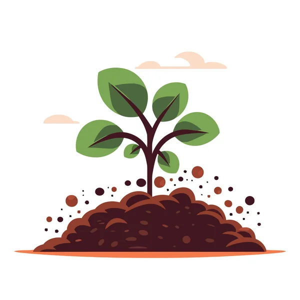 Молодое Растение Растущее Земли Растение Растет Почвы Векторная Иллюстрация Векторная Графика