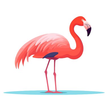 Flamingo logo tasarımı. Pembe flamingo resmi çiziyorum. Şirin flamingo izole edilmiş. Vektör illüstrasyonu