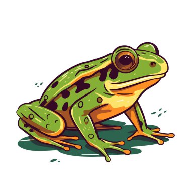 Frog logo design. Abstract drawing frog. Cute toad isolated. Vector illustration clipart