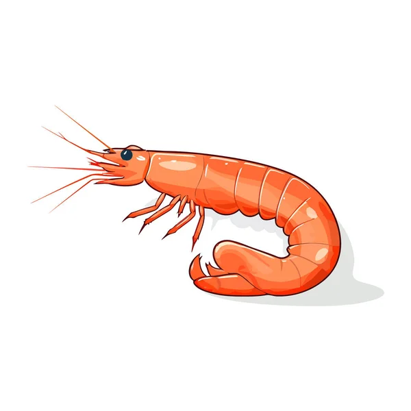 Shrimp Bild Isoliert Shrimp Symbol Niedliche Rote Garnele Flachem Design — Stockvektor