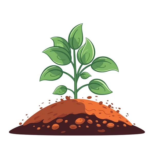 Jungpflanze Wächst Aus Dem Boden Pflanze Die Aus Dem Boden — Stockvektor