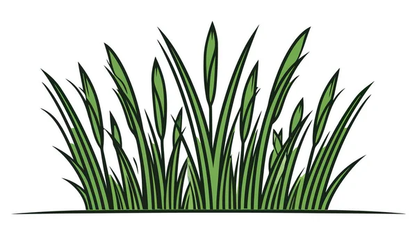 Grünes Gras Grünes Gras Silhouette Isoliert Auf Weißem Hintergrund Vektorillustration — Stockvektor