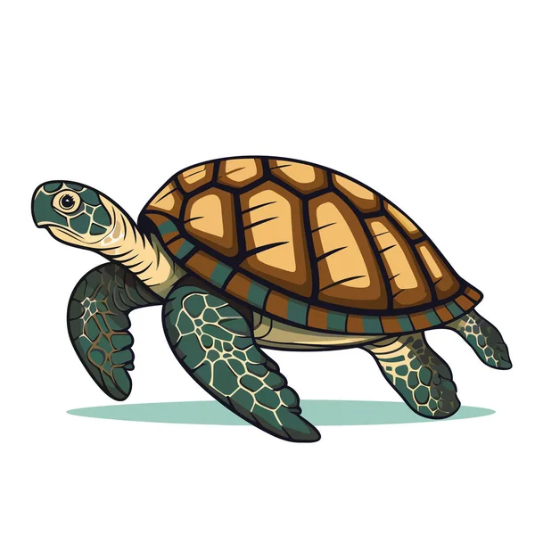 Kaplumbağa Görüntüsü Soyut Çizim Kaplumbağası Tatlı Kaplumbağa Izole Edilmiş Vektör — Stok Vektör
