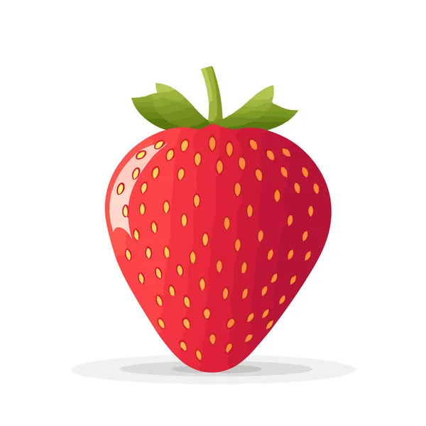 Εικόνα Φράουλας Εικόνα Φράουλας Απομονωμένη Ωραία Κόκκινη Φράουλα Εικονογράφηση Διανύσματος — Διανυσματικό Αρχείο