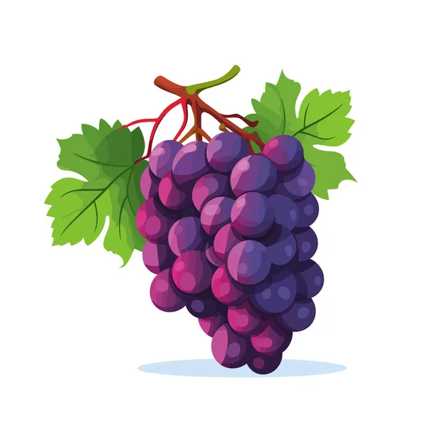 stock vector Grape icon isolated. Bunch of wine grapes with leaf. Grape image in flat design. Vector illustration
