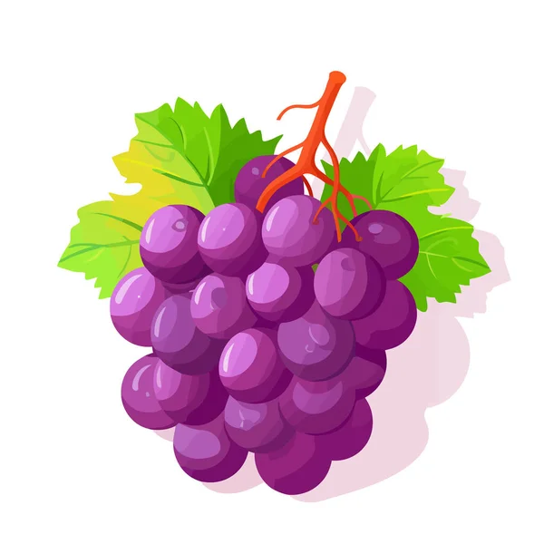 Значок Винограду Ізольовано Група Винограду Листям Зображення Винограду Плоскому Дизайні — стоковий вектор
