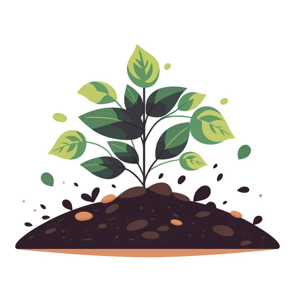 Молодое Растение Растущее Земли Растение Растет Почвы Векторная Иллюстрация Лицензионные Стоковые Иллюстрации