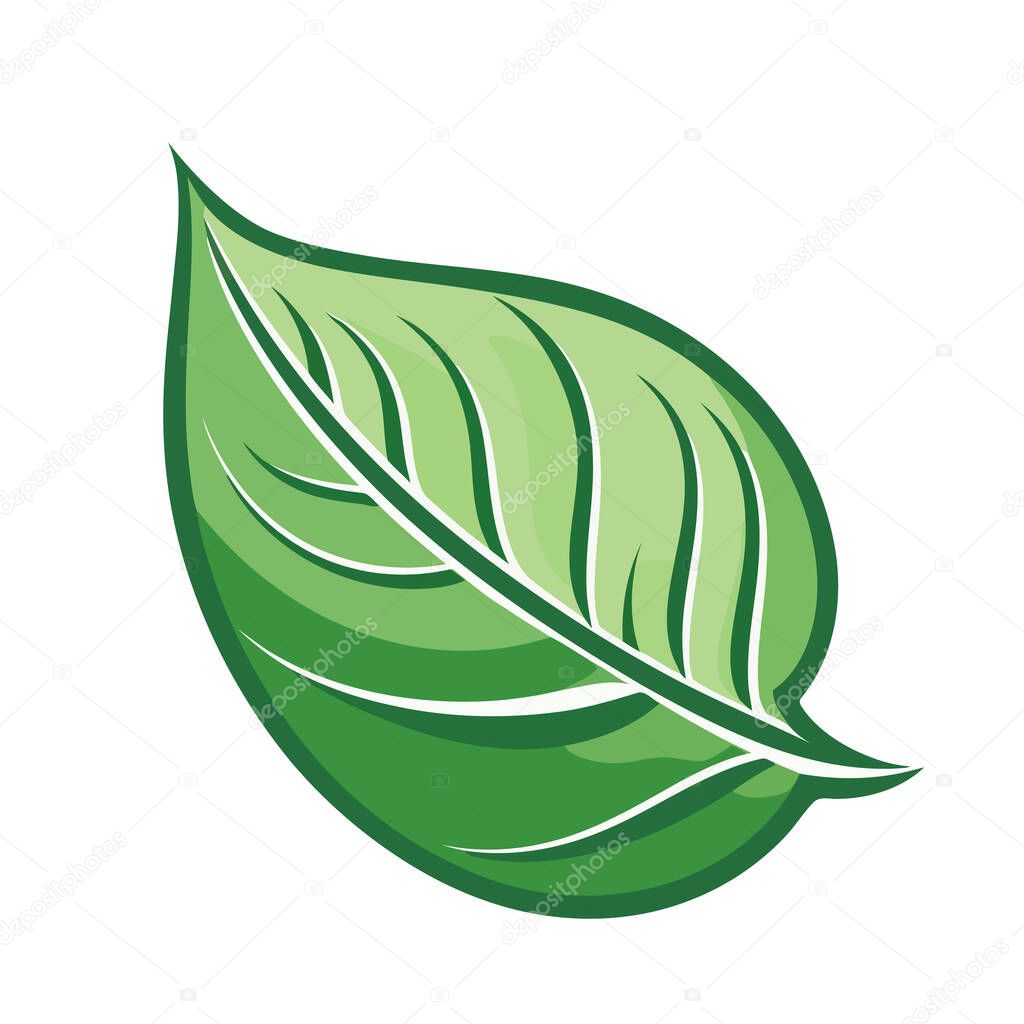 Leaf image. Logo design of leaf. Ecology concept. Vector illustration