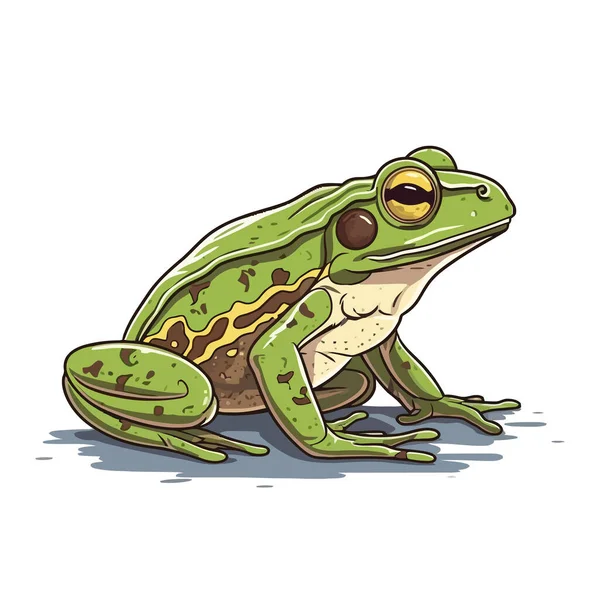 青蛙标志的设计 抽象画青蛙 可爱的蛤蟆被隔离了矢量说明 — 图库矢量图片