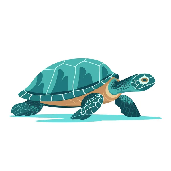 Turtle Image Abstract Drawing Turtle Cute Turtle Isolated Vector Illustration — Stock Vector