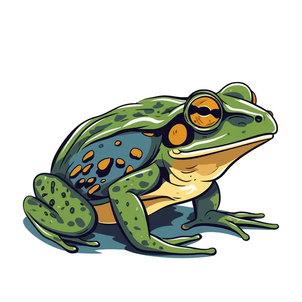 Логотип Лягушки Абстрактный Рисунок Лягушки Милая Жаба Изолирована Векторная Иллюстрация — стоковый вектор