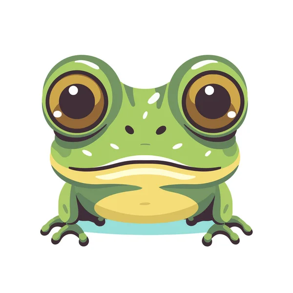개구리 디자인 개구리의 얼굴을 추상적으로 그렸습니다 귀여운 개구리 떨어져 일러스트 — 스톡 벡터