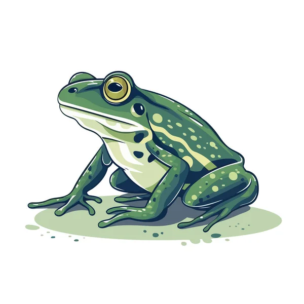 Frog 디자인 개구리를 추상적으로 그렸습니다 귀여운 두꺼비 일러스트 — 스톡 벡터