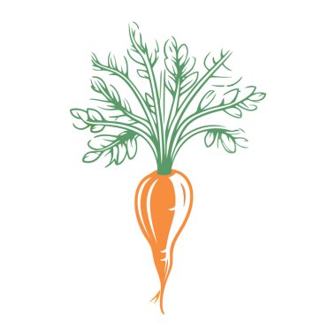 Havuç ikonu izole edildi. Havucun şirin görüntüsü. Düz dizayn havuç. Vektör illüstrasyonu