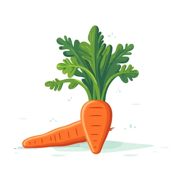 Carrot Icon Isolated Cute Image Carrot Carrot Flat Design Vector — Stock Vector