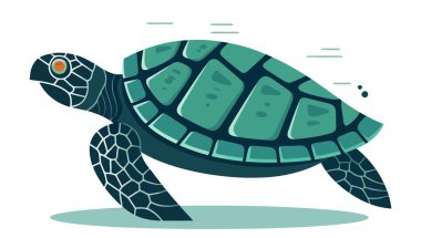 Kaplumbağa görüntüsü. Soyut çizim kaplumbağası. Tatlı kaplumbağa izole edilmiş. Vektör illüstrasyonu