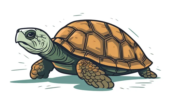 Schildkrötenbild Abstrakte Zeichnung Schildkröte Nette Schildkröte Isoliert Vektorillustration — Stockvektor