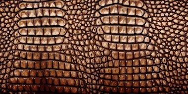 Timsah derisi dokusu. Timsah derisi izi. Zarif bir moda geçmişi var. Vektör illüstrasyonu.