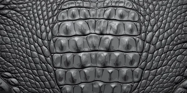 Alligator Hud Struktur Bakgrund Krokodilhudavtryck Elegant Trendig Bakgrund Vektorillustration — Stock vektor