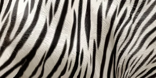Fehér Bengáli Tigris Bőr Bőr Textúra Háttér Fehér Tigris Bőr — Stock Vector
