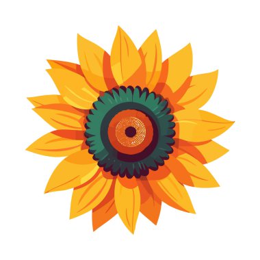 Ayçiçeği ikonu. Ayçiçeği izole edilmiş. Düz dizaynlı sevimli ayçiçeği sembolü. Vektör illüstrasyonu