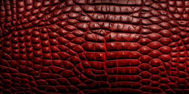 Timsah derisi dokusu. Timsah derisi izi. Zarif bir moda geçmişi var. Vektör illüstrasyonu.