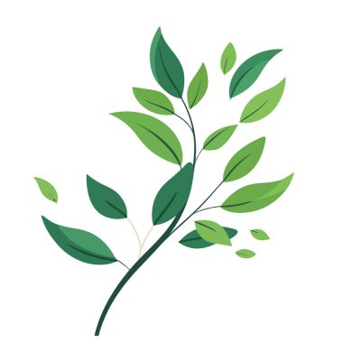 Yeşil yapraklı dal. Şube görüntüsü. Ekoloji konsepti. Vektör illüstrasyonu