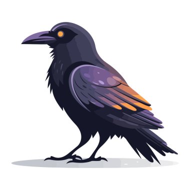 Karga görüntüsü. Beyaz arka planda izole edilmiş şirin karga. Bir karga tasviri. Vektör illüstrasyonu.