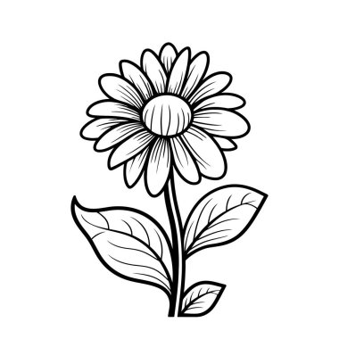 Yapraklı papatya silueti. Ayrı bir çiçek resmi. Vektör illüstrasyonu