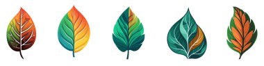 Yaprak simgeleri. Yaprak seti. Ekoloji konsepti. Vektör illüstrasyonu