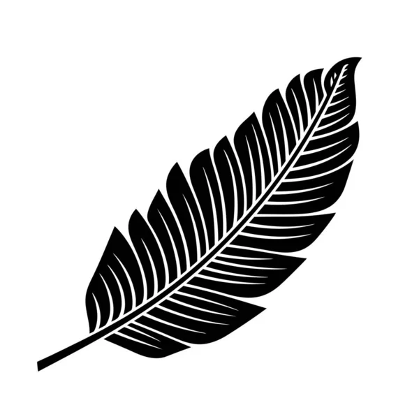 Icône Feuille Noire Icône Feuille Tropicale Noire Isolée Illustration Vectorielle — Image vectorielle