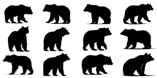 Conjunto Ícones Urso Usa Silhuetas Símbolos Pretos Urso Ilustração Vetorial — Vetor de Stock