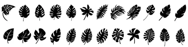 Yaprak Simgeleri Ayarlandı Siyah Tropikal Yaprak Ikonları Izole Edilmiş Vektör — Stok Vektör