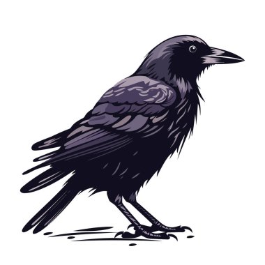 Karga görüntüsü. Siyah karga beyaz arka planda izole edilmiş. Bir karga tasviri. Vektör illüstrasyonu.