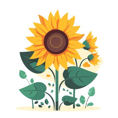 Ayçiçeği. Ayçiçeği görüntüsü izole. Düz dizaynlı sevimli ayçiçeği çizimi. Vektör illüstrasyonu