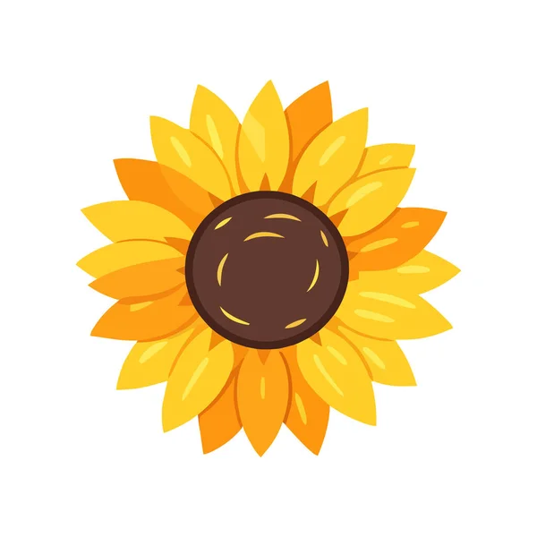 Sunflower flower icon. Sunflower flower isolated. Cute Sunflower symbol in flat design. Vector illustration