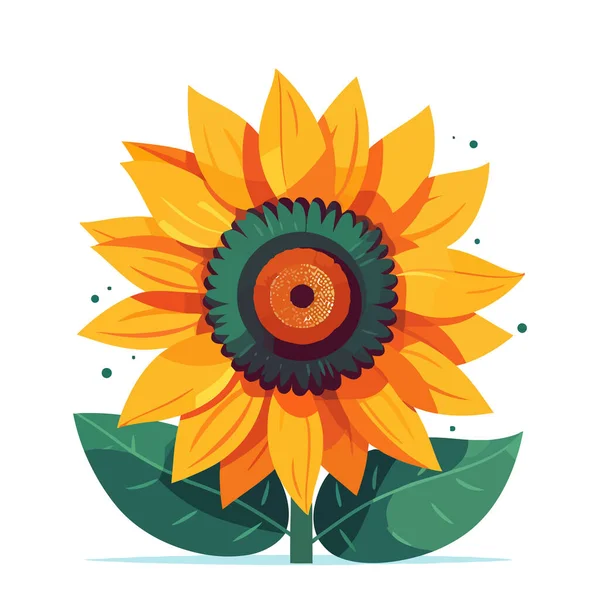 Sunflower flower. Sunflower flower image isolated. Cute sunflower drawing in flat design. Vector illustration