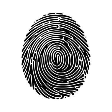 Fingerprints icon. Black fingerprints on white background in flat design. Vector illustration clipart