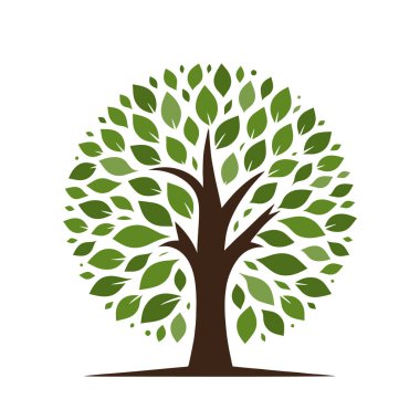 Ağaç logosu tasarımı. Ağaç simgesi izole edildi. Yapraklı şirin ağaç sembolü. Vektör illüstrasyonu.