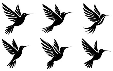 Uçan kuş simgeleri ayarlandı. Sinek kuşunun siyah silueti. Vektör illüstrasyonu