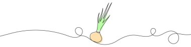 Devamlı soğan çizgisi çizimi. Bir sıra soğan ikonu çizimi. Vektör çizimi. Soğan simgesi bir satırda.