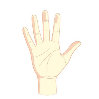 İnsan eli yukarı. Beyaz arka planda izole edilmiş el çizimi bir el resmi. Vektör illüstrasyonu.