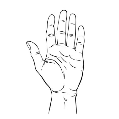 İnsan eli silueti. Elle çizilmiş siyah bir el kaldırma resmi. Vektör illüstrasyonu.