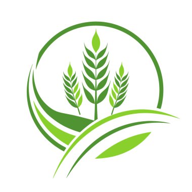 Agronomi logo simgesi. Tarım logosu tasarımı. Tarlalarda bitkiler olan tarım logosu. Vektör illüstrasyonu.