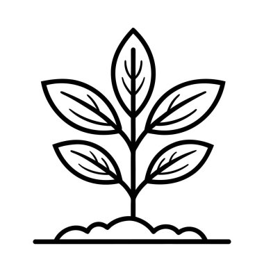 Yapraklı genç bitkinin siyah doğrusal simgesi. Büyüme ya da sürdürülebilir kalkınma kavramı. Bitki sembolü. Vektör illüstrasyonu
