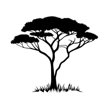 Afrika savanasında büyüyen bir akasya ağacının siyah silueti. İzole ağaç silueti. Vektör illüstrasyonu
